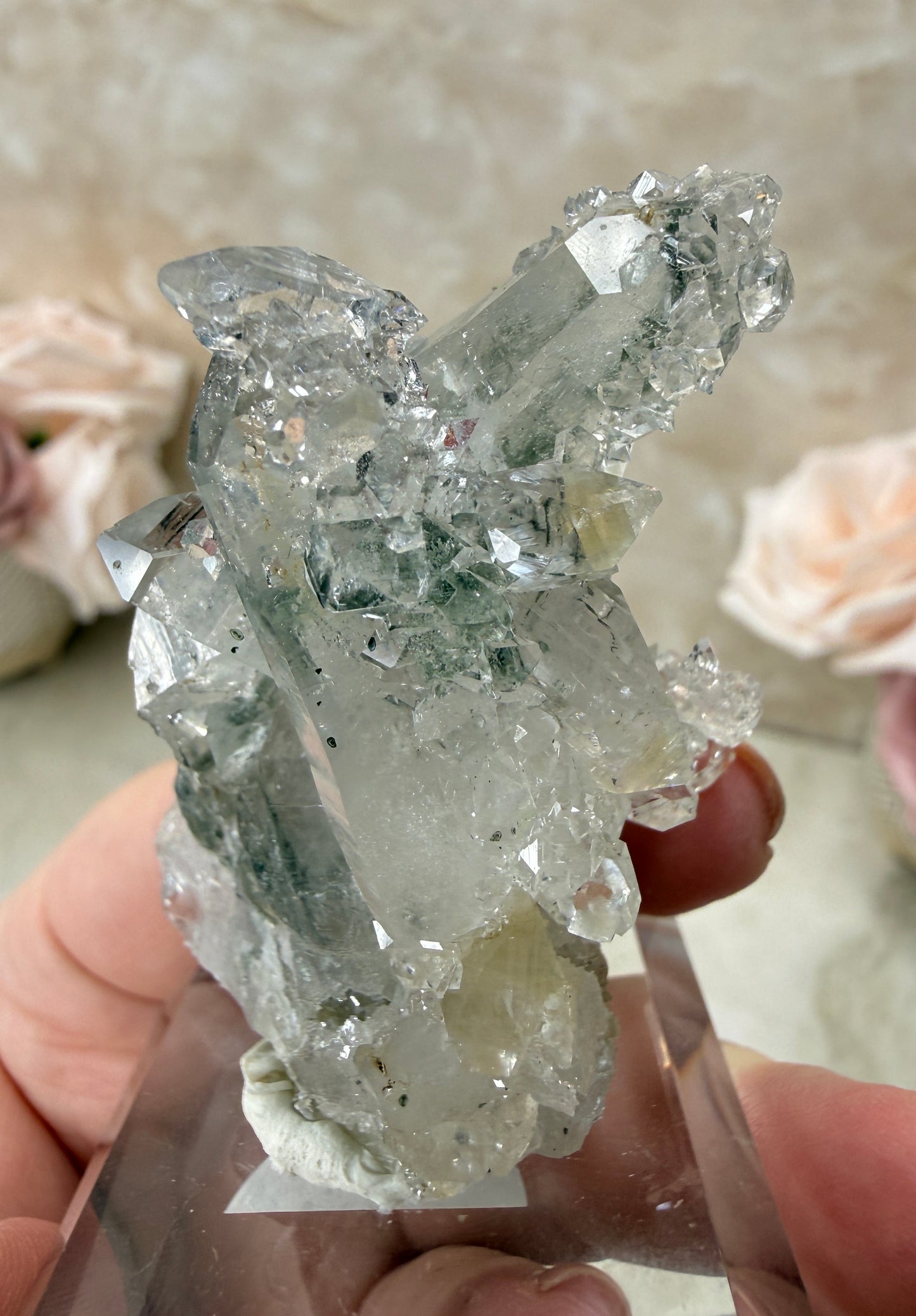 Apopyhllite & Quartz with Chlorite Cluster