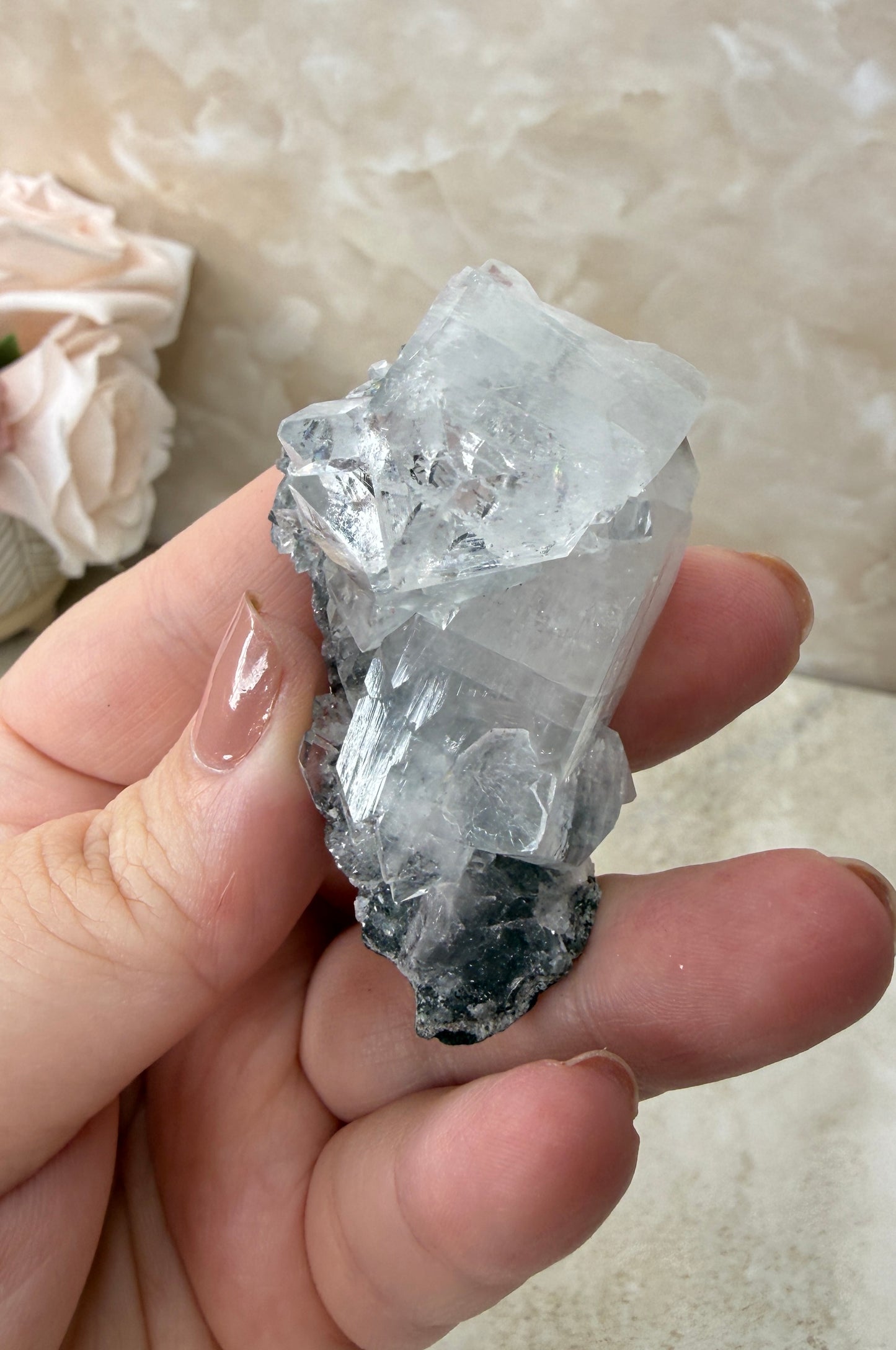 High Quality Apopyhllite Cluster
