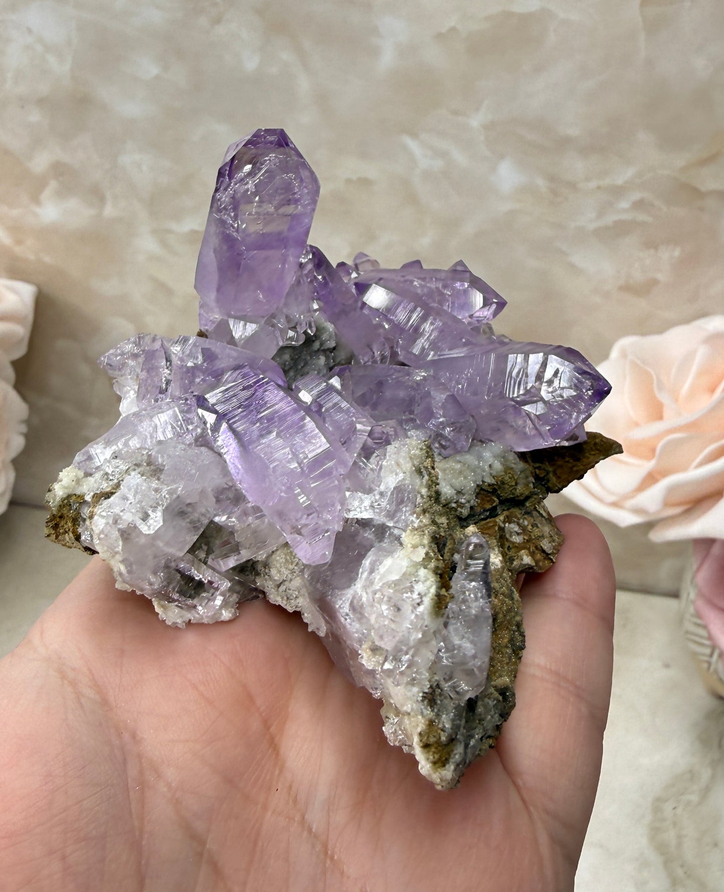 Vera Cruz Amethyst Cluster