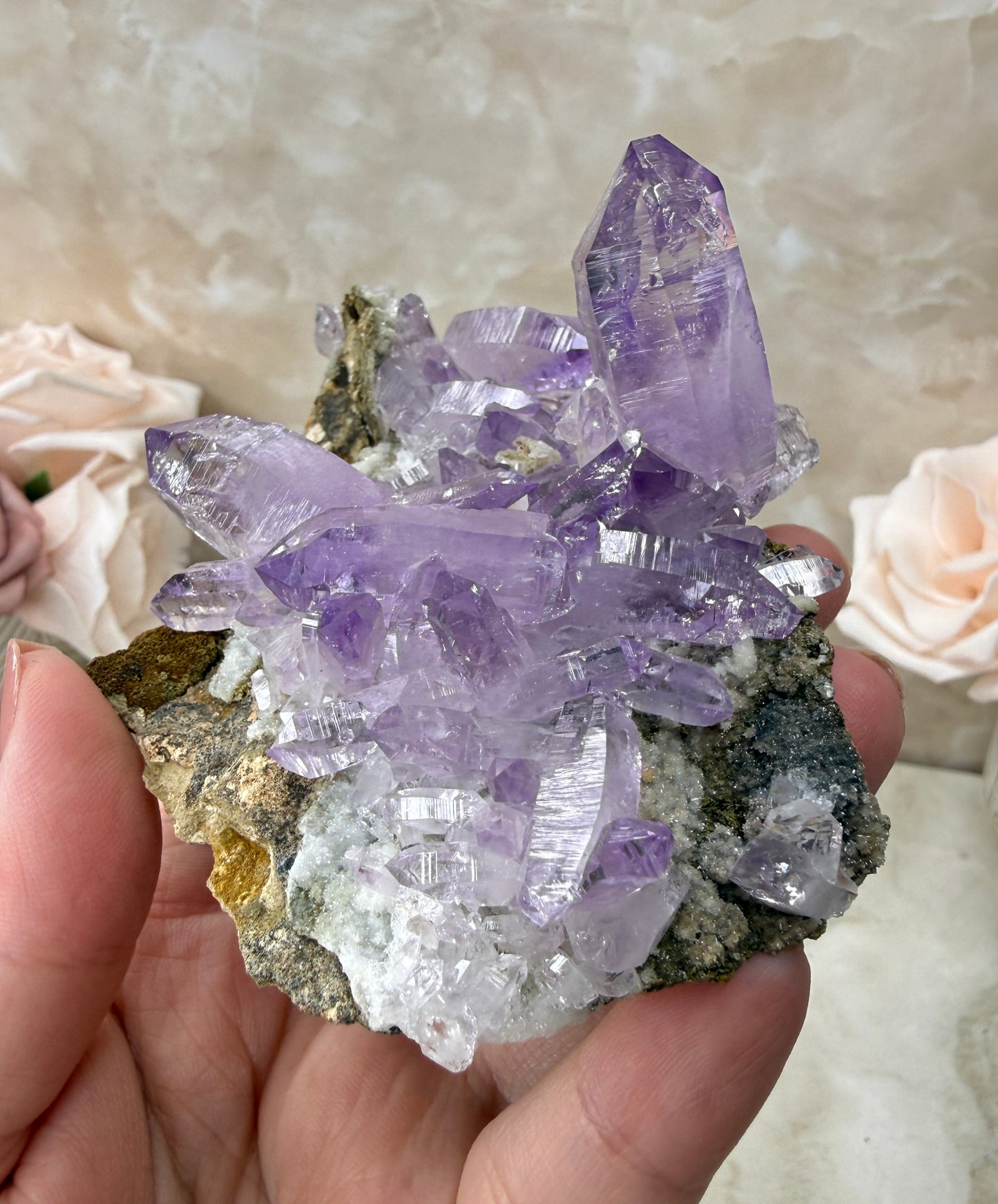 Vera Cruz Amethyst Cluster