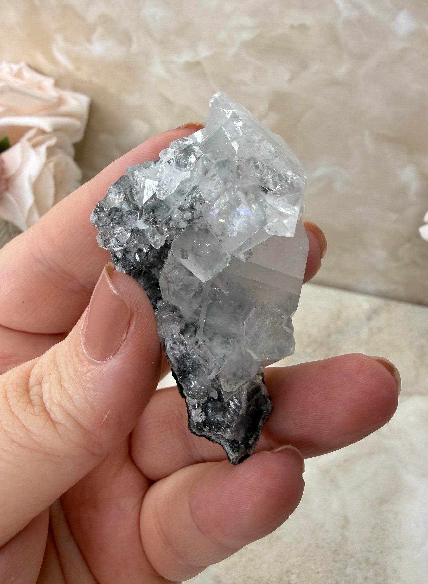 High Quality Apopyhllite Cluster