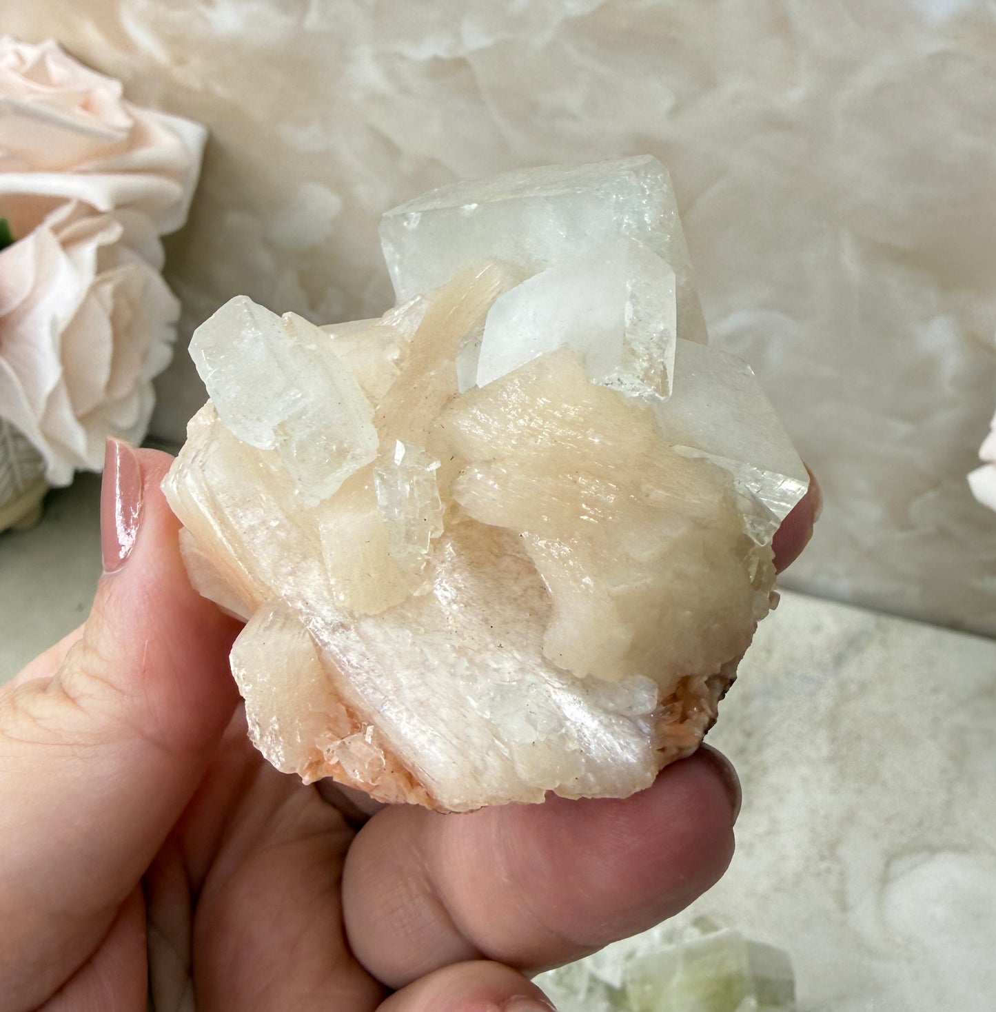 Apopyhllite Cluster
