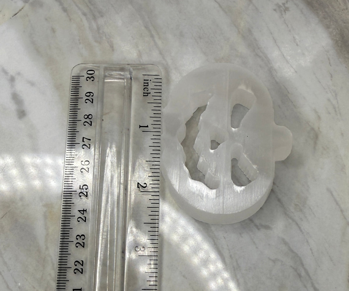 Pumpkin Selenite Carving