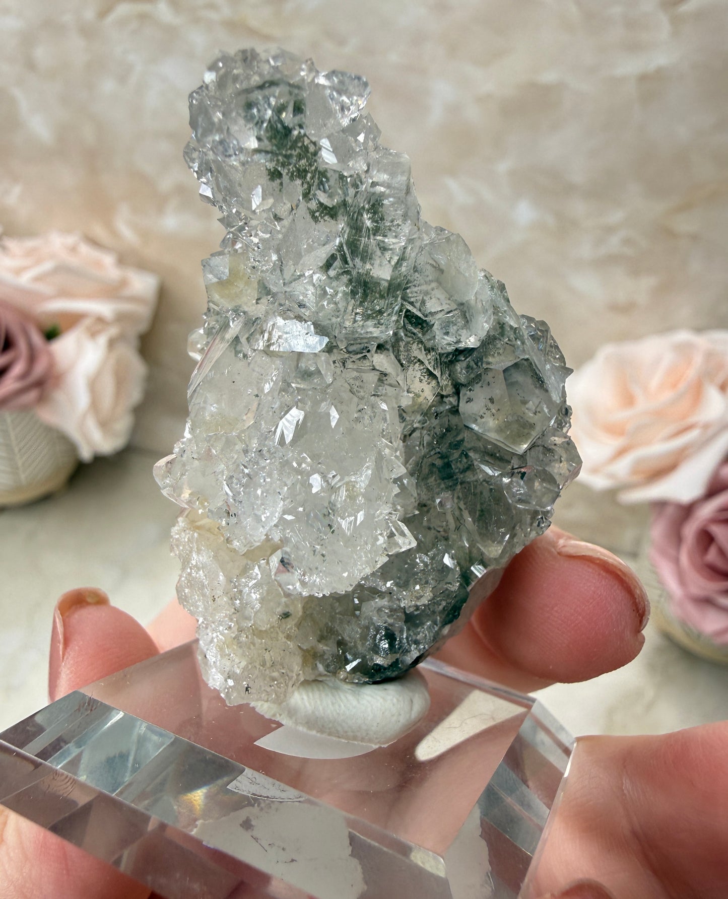Apopyhllite & Quartz with Chlorite Cluster