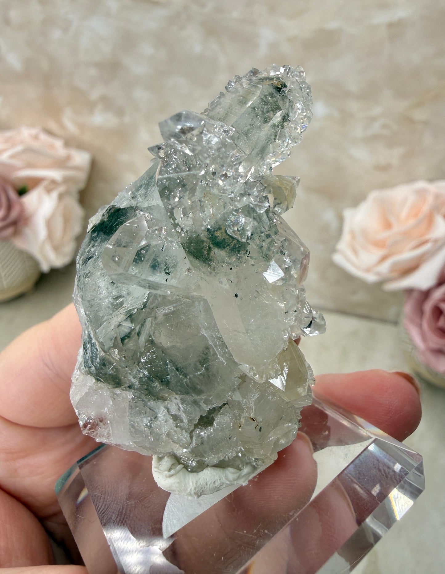 Apopyhllite & Quartz with Chlorite Cluster