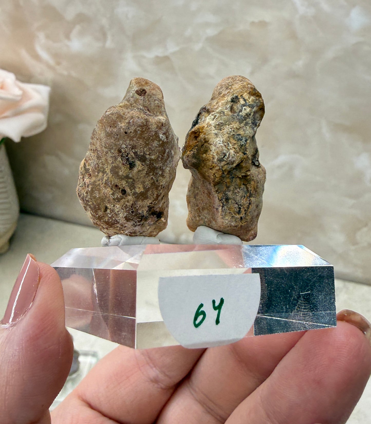 Laguna Agate Pair