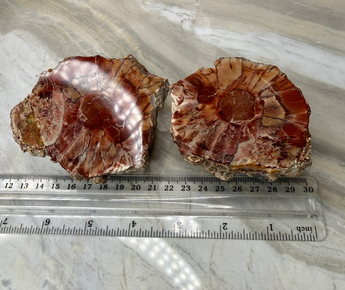 Thunder Agate Egg Pair from Mexico