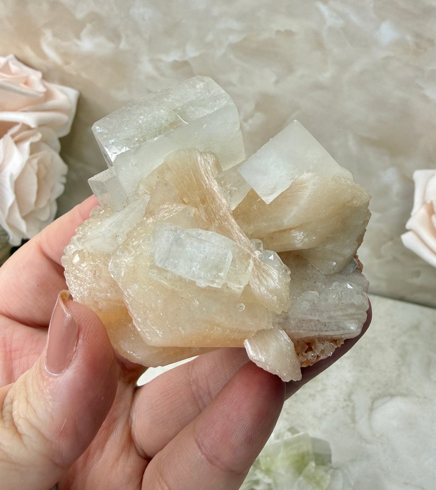 Apopyhllite Cluster