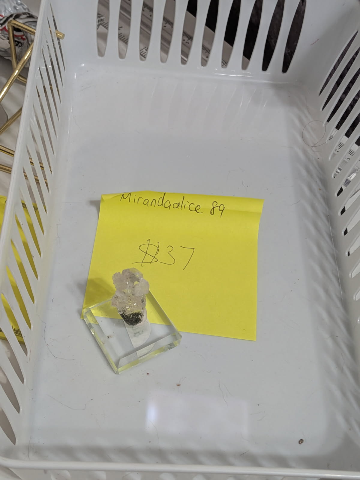 Reserved for Miranda (open)