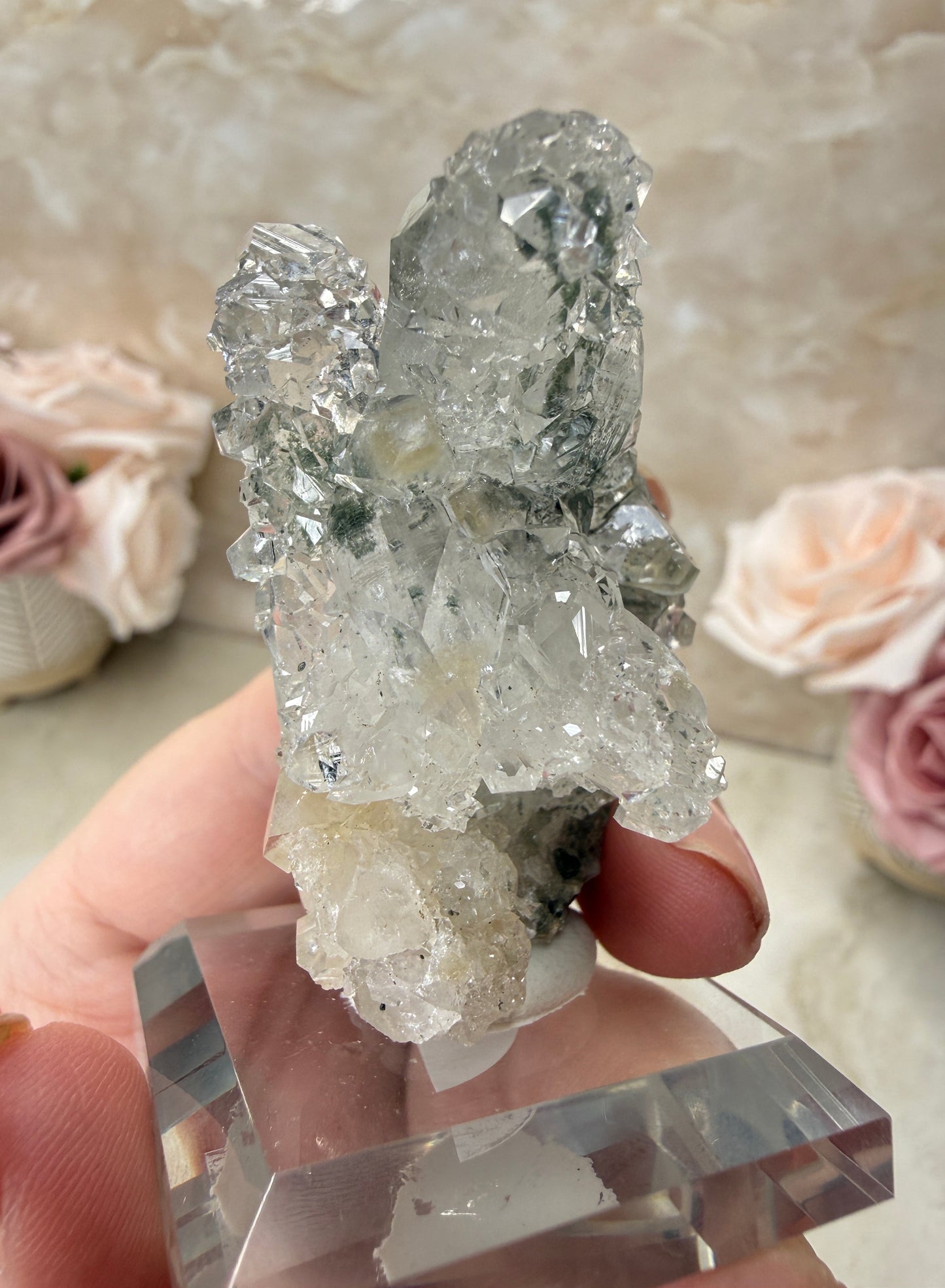 Apopyhllite & Quartz with Chlorite Cluster