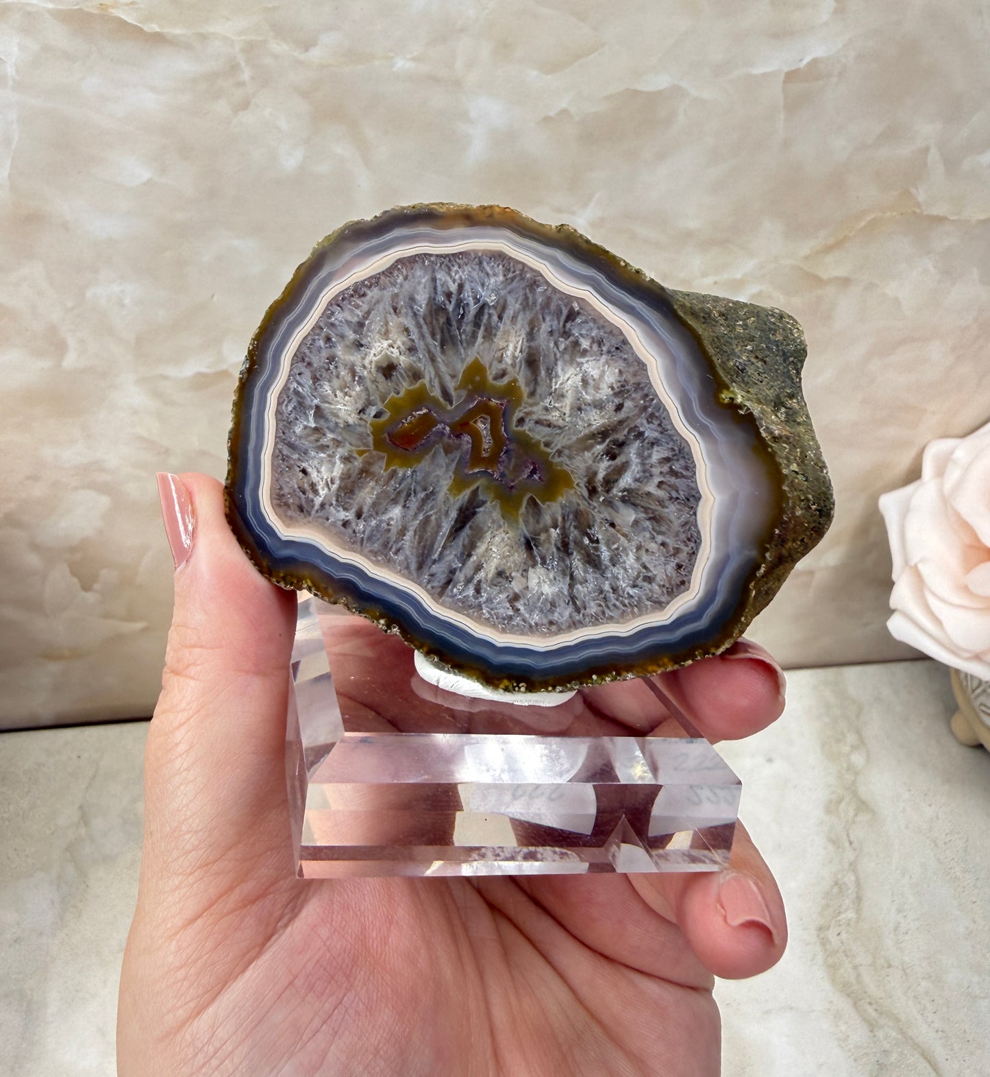 Coyamito Agate