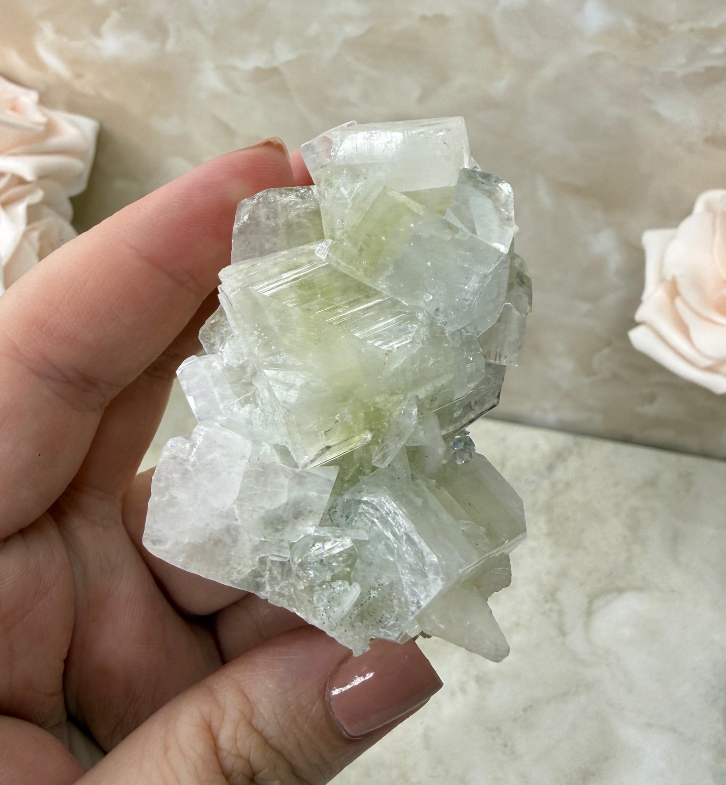 Apopyhllite Cluster