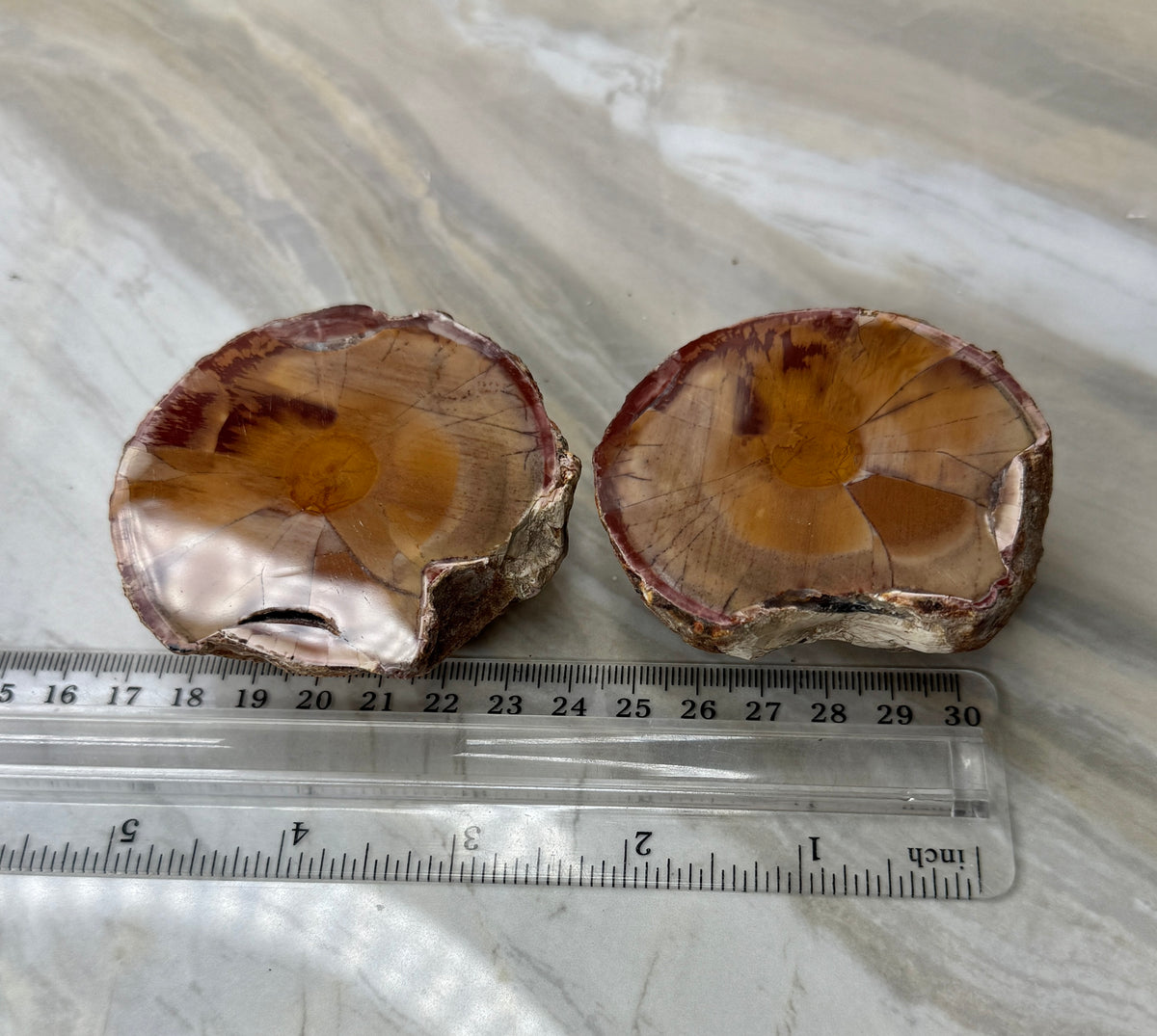 Thunder Agate Egg Pair from Mexico
