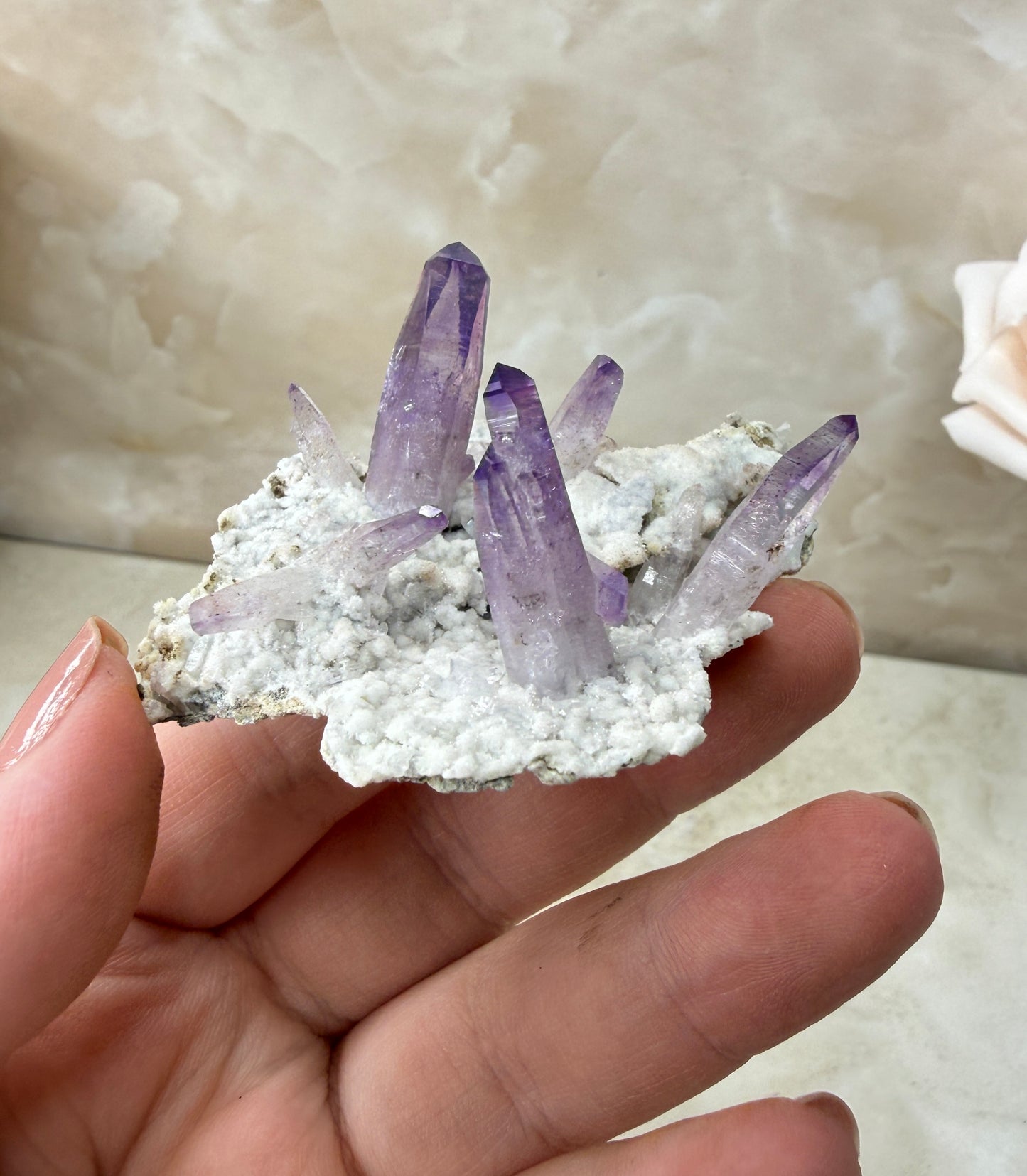 Vera Cruz Amethyst Cluster