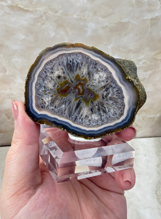Coyamito Agate