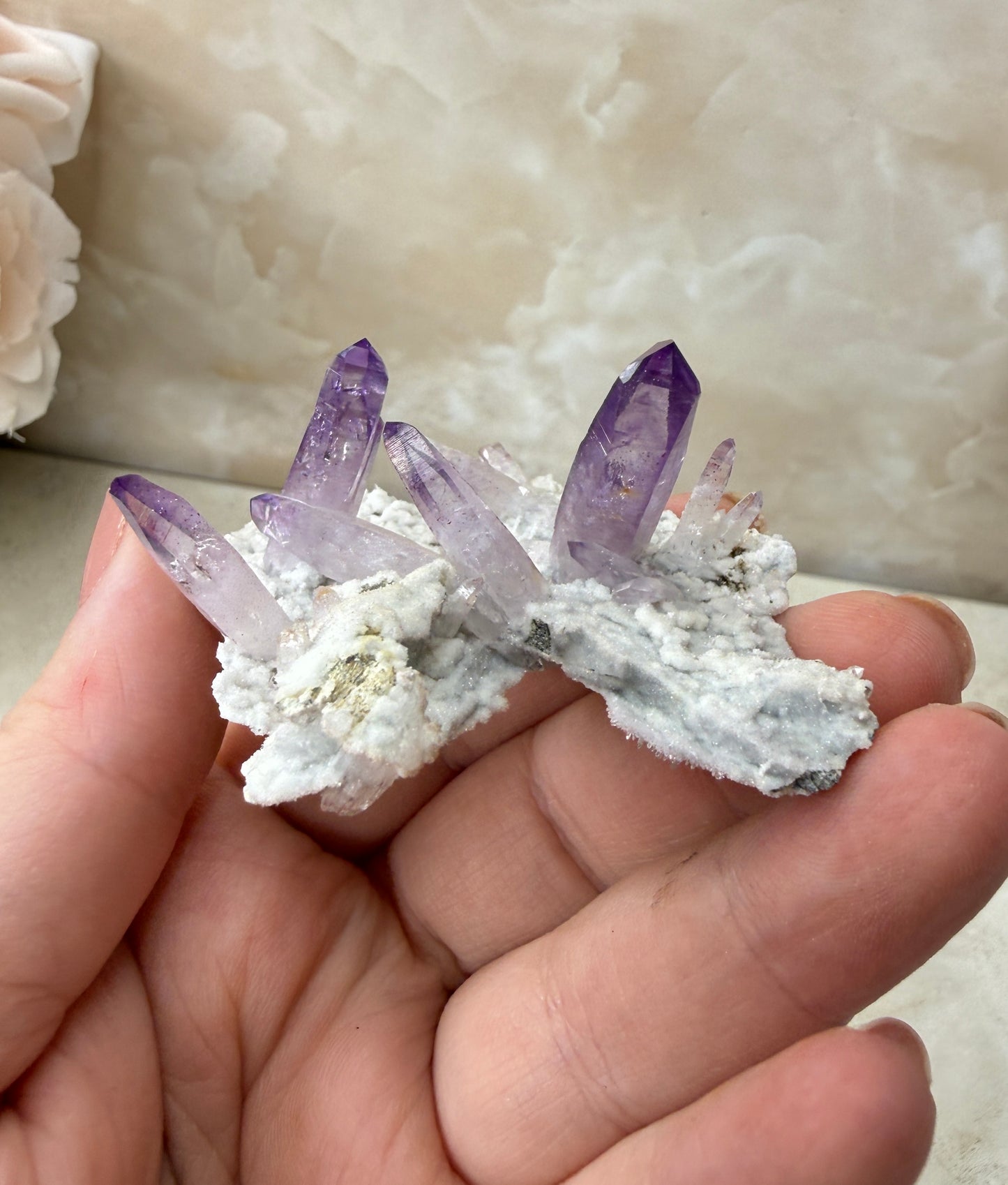 Vera Cruz Amethyst Cluster