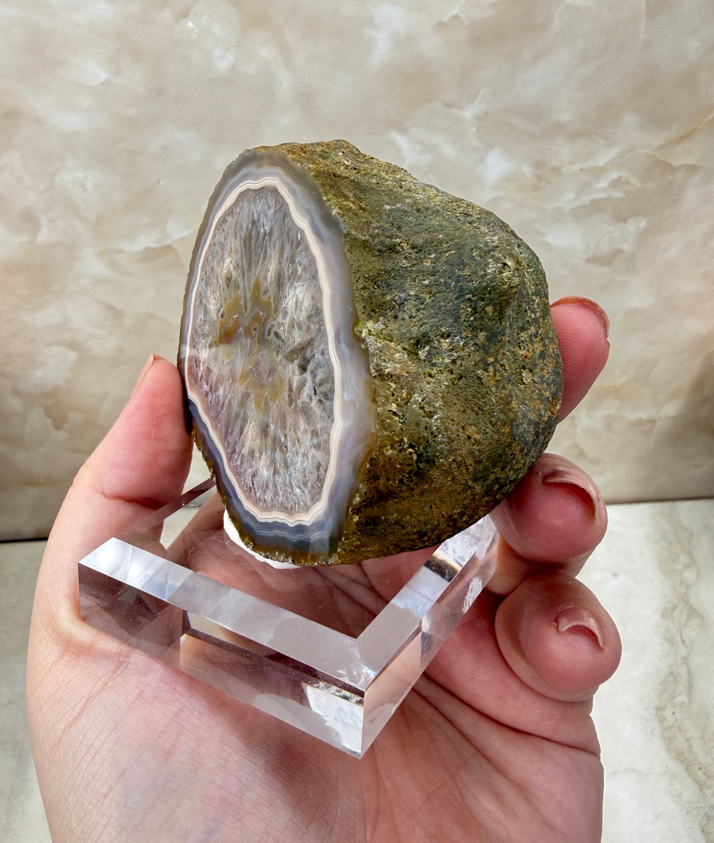 Coyamito Agate