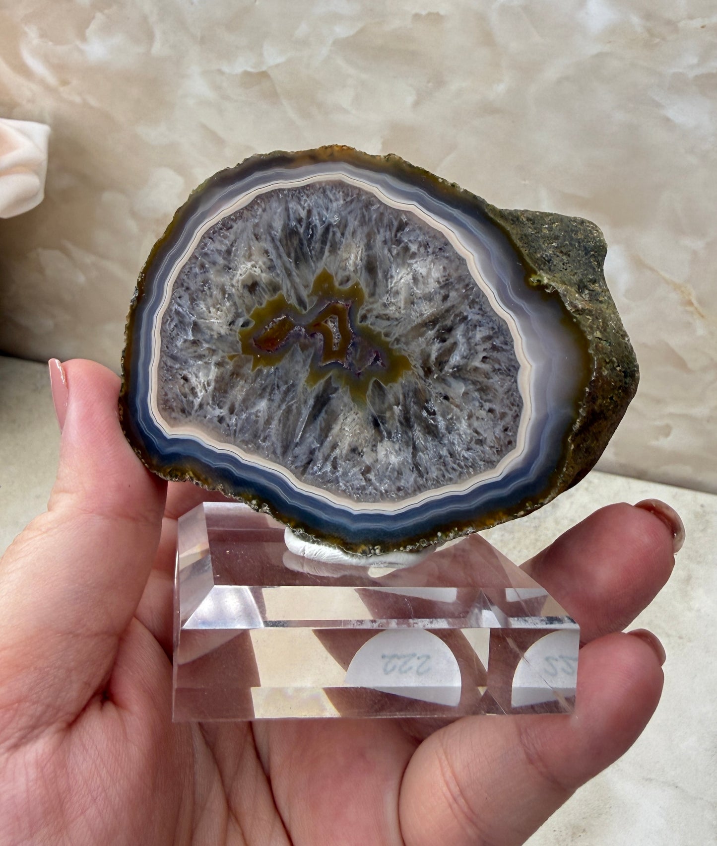 Coyamito Agate