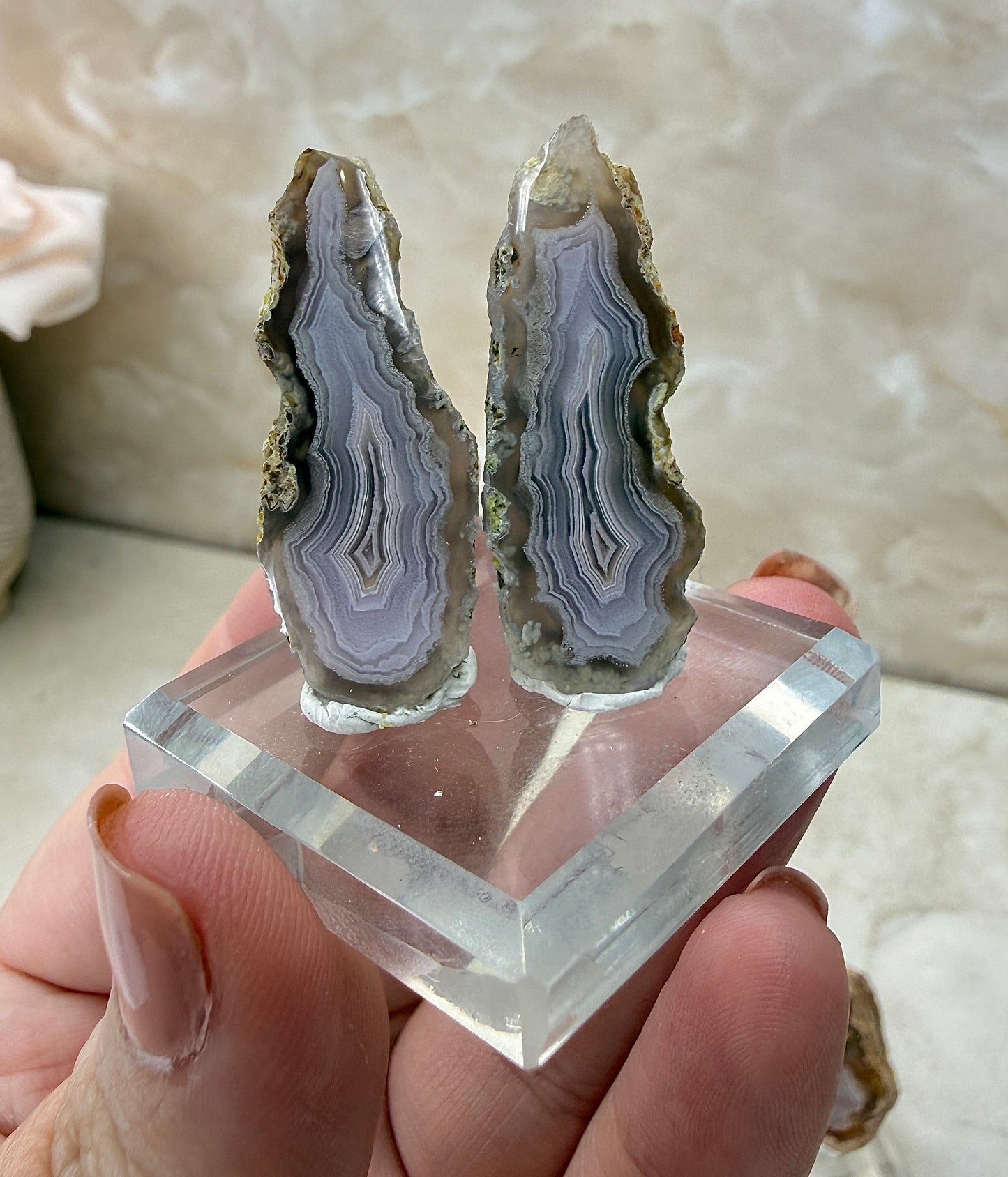 Laguna Agate Pair