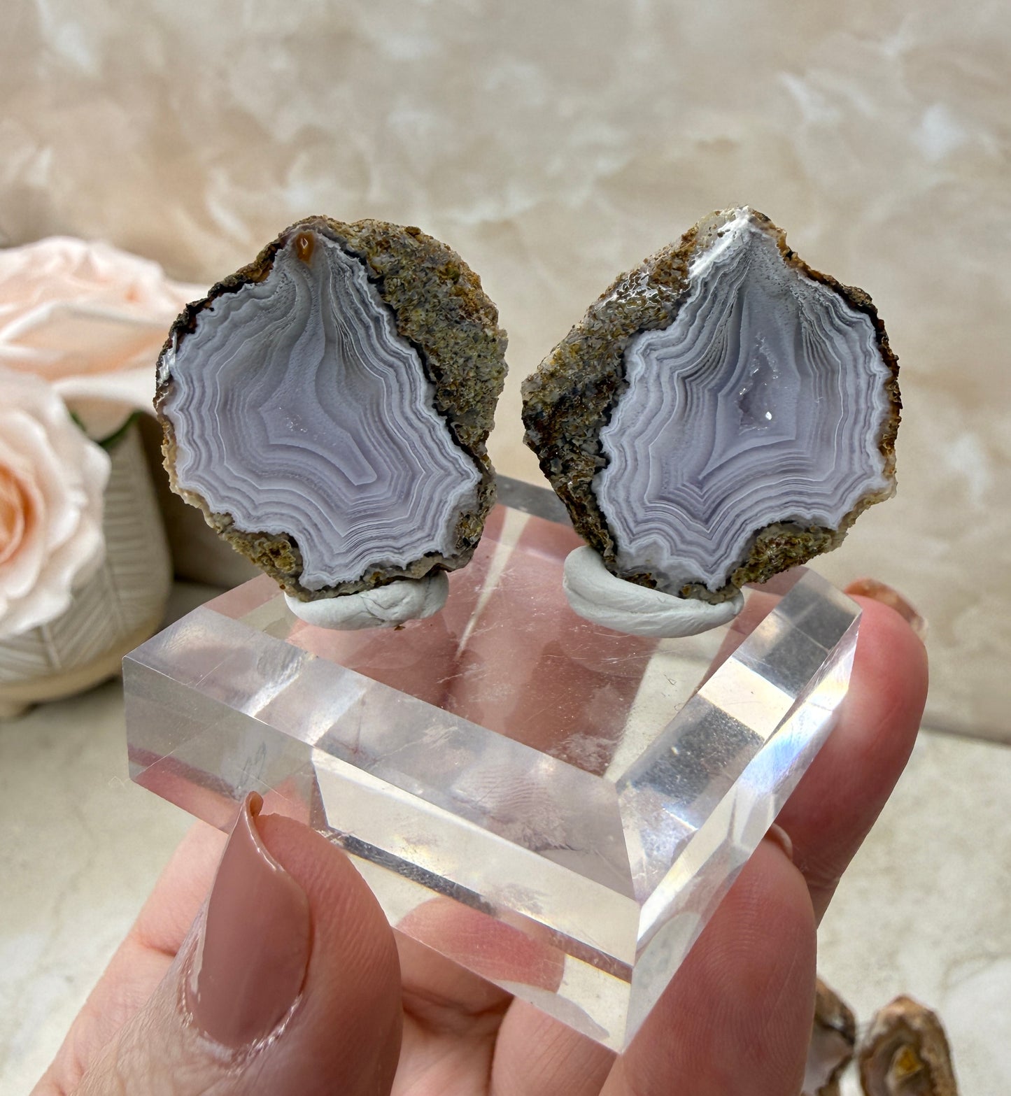 Laguna Agate Pair