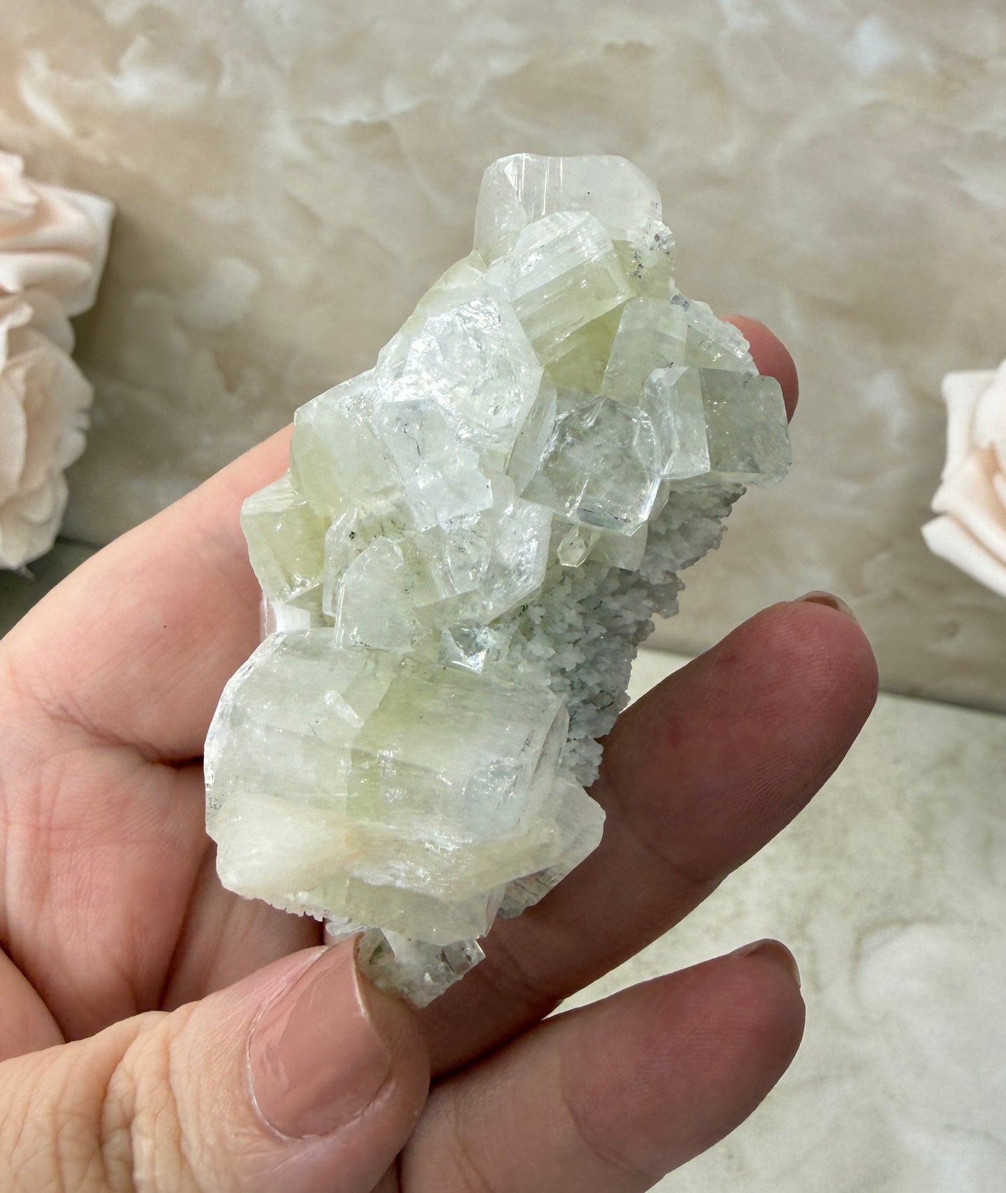 Apopyhllite Cluster
