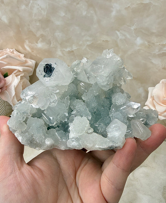 High Quality Apopyhllite Cluster