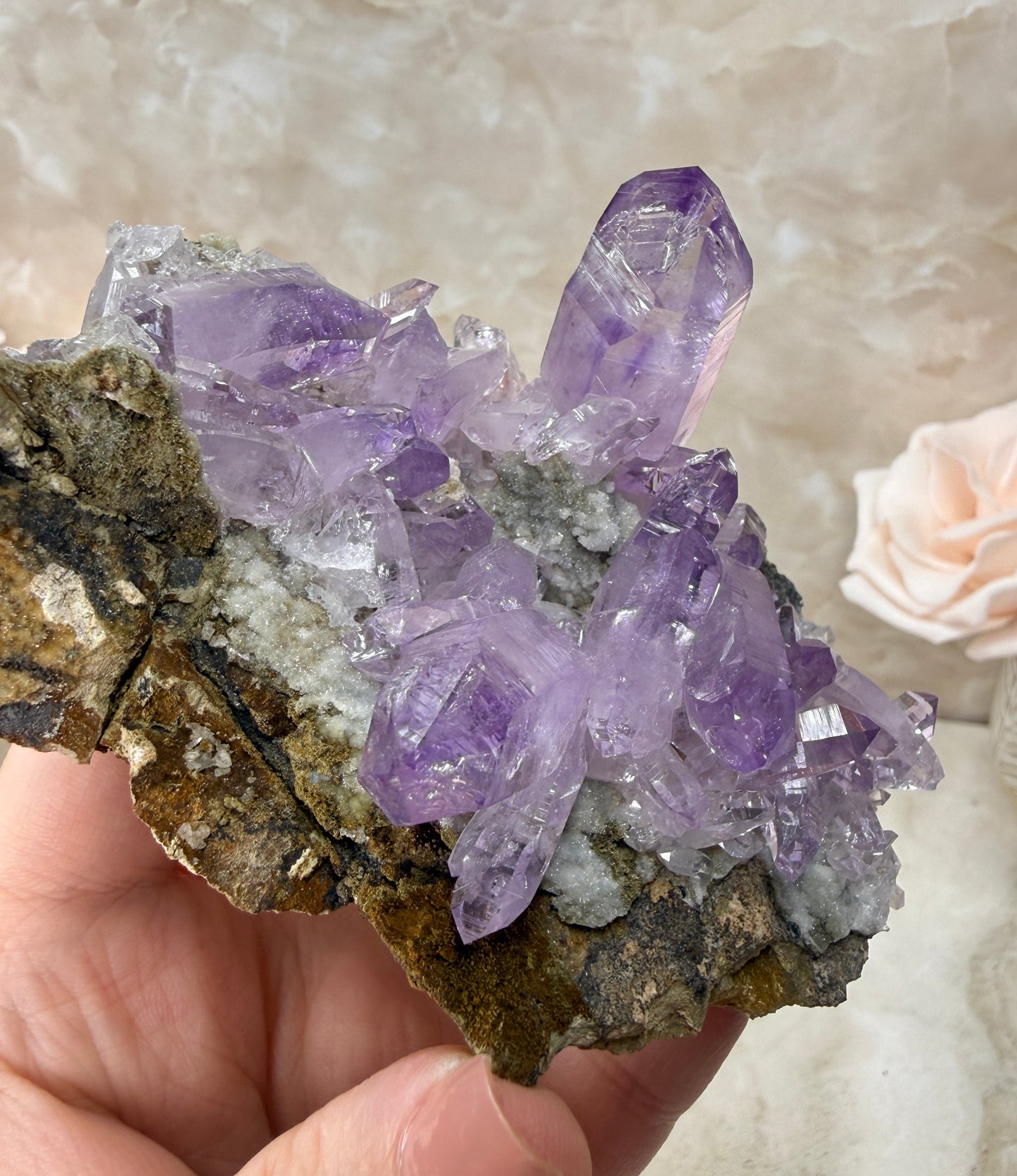 Vera Cruz Amethyst Cluster