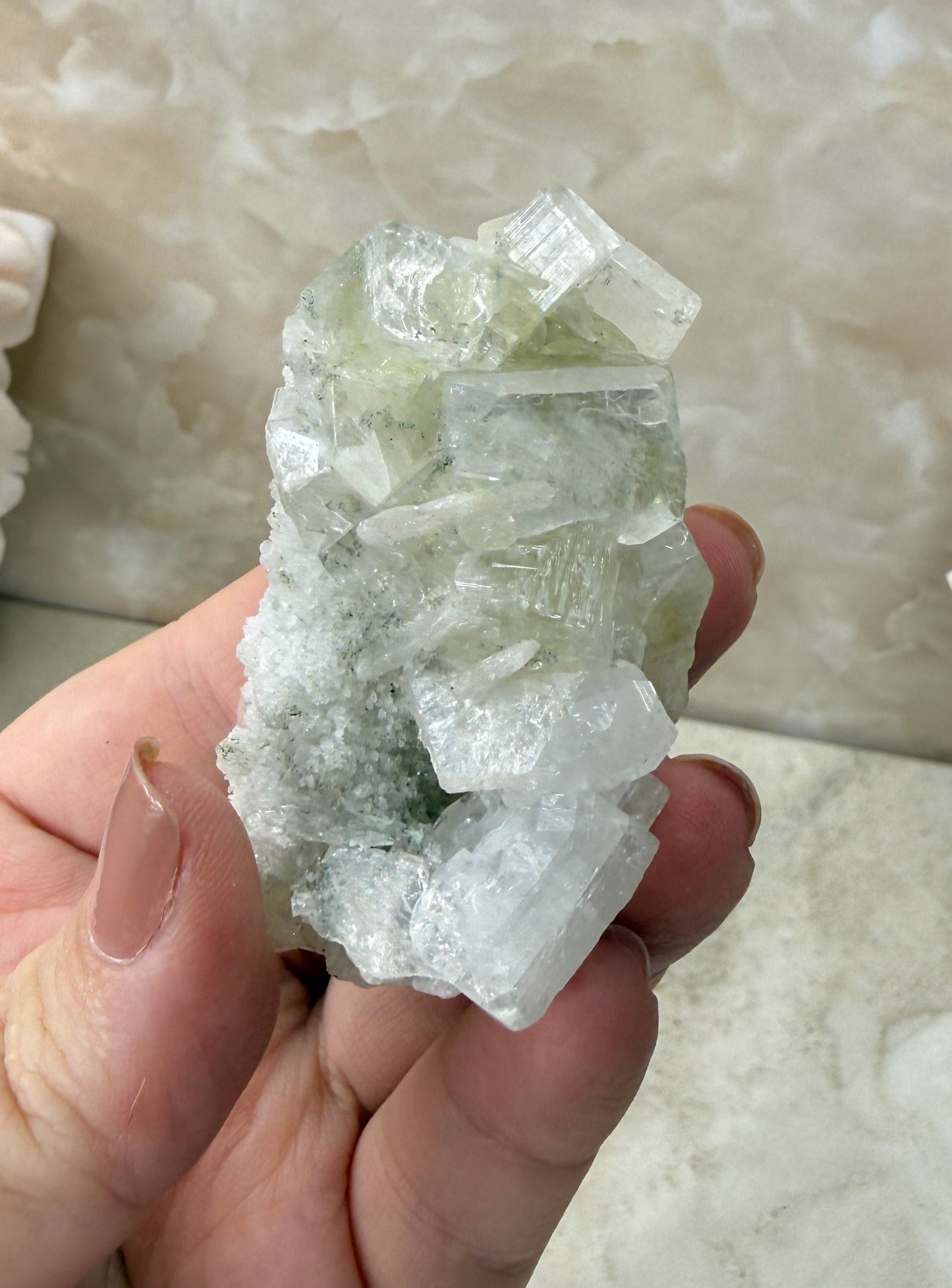 Apopyhllite Cluster