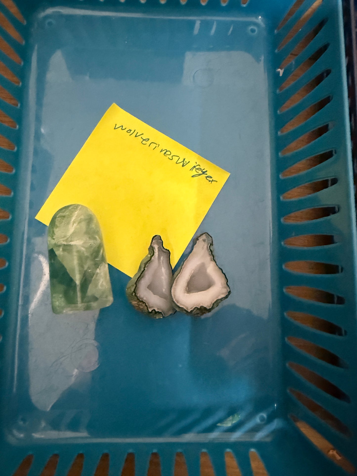 Reserved for Eviadora (open)