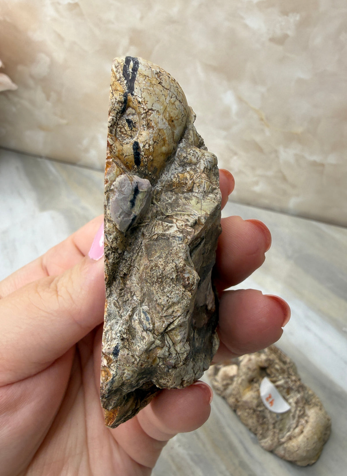 Thunder Agate Egg Pair from Mexico
