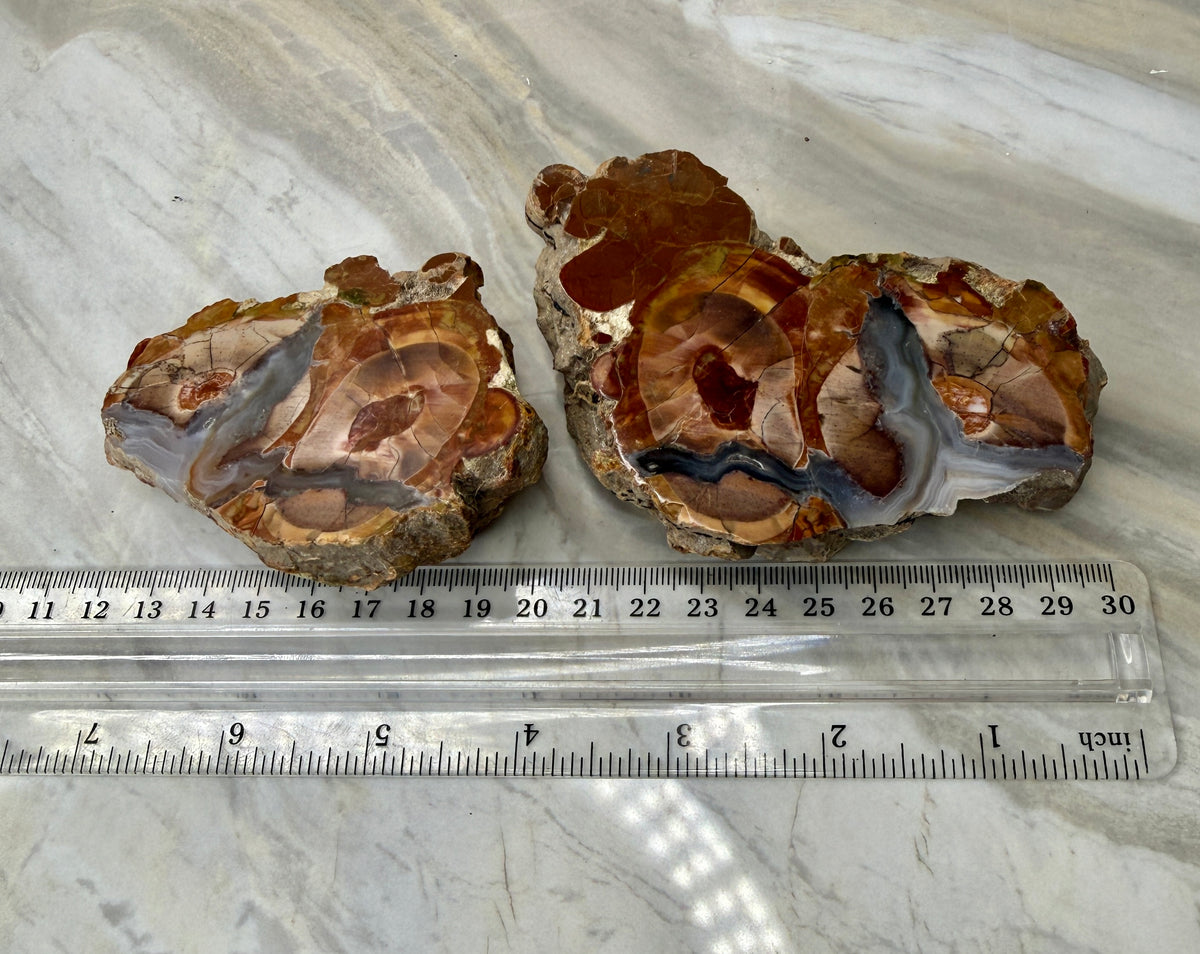 Thunder Agate Egg Pair from Mexico