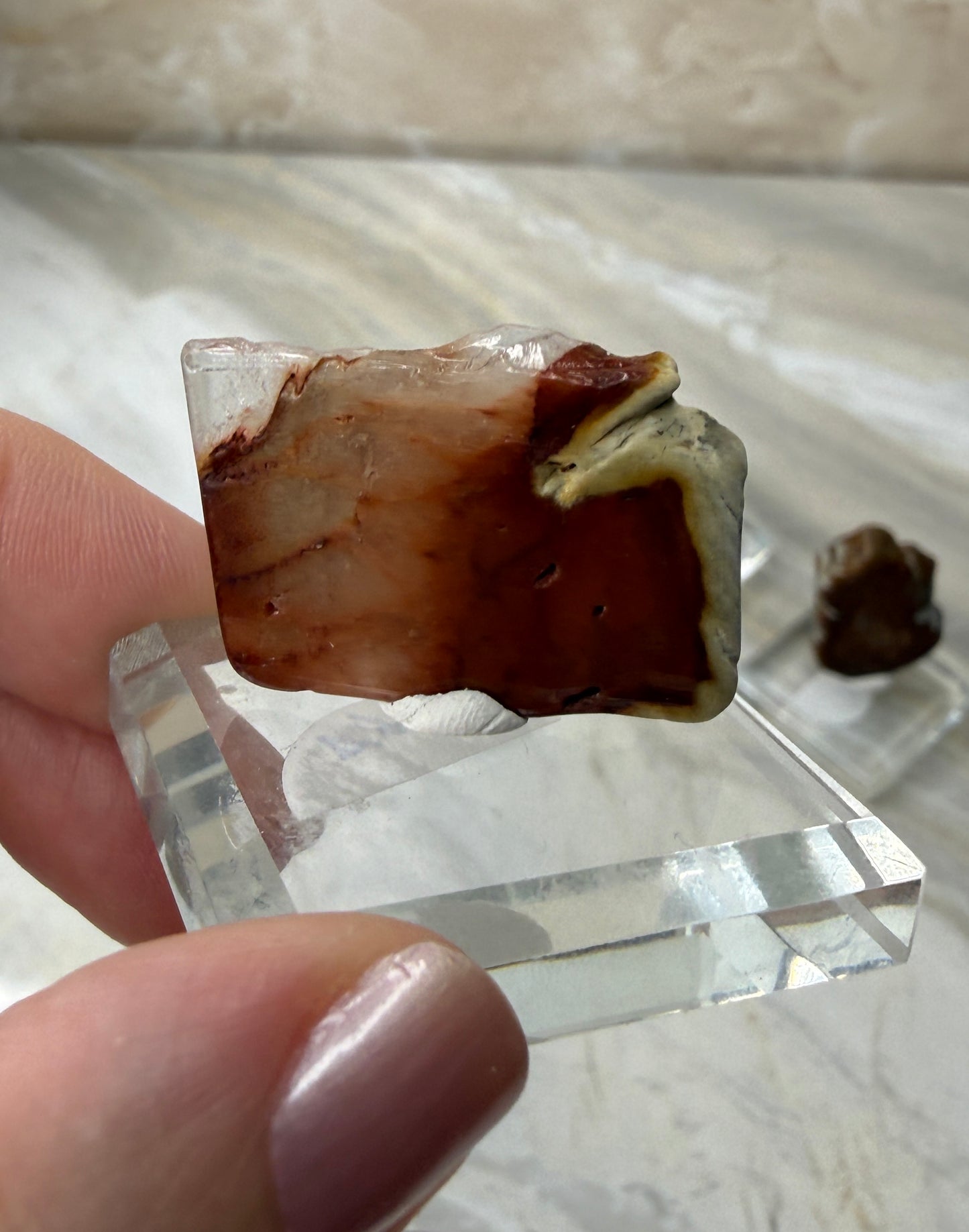 Mini Amphibole Slabs from Brazil