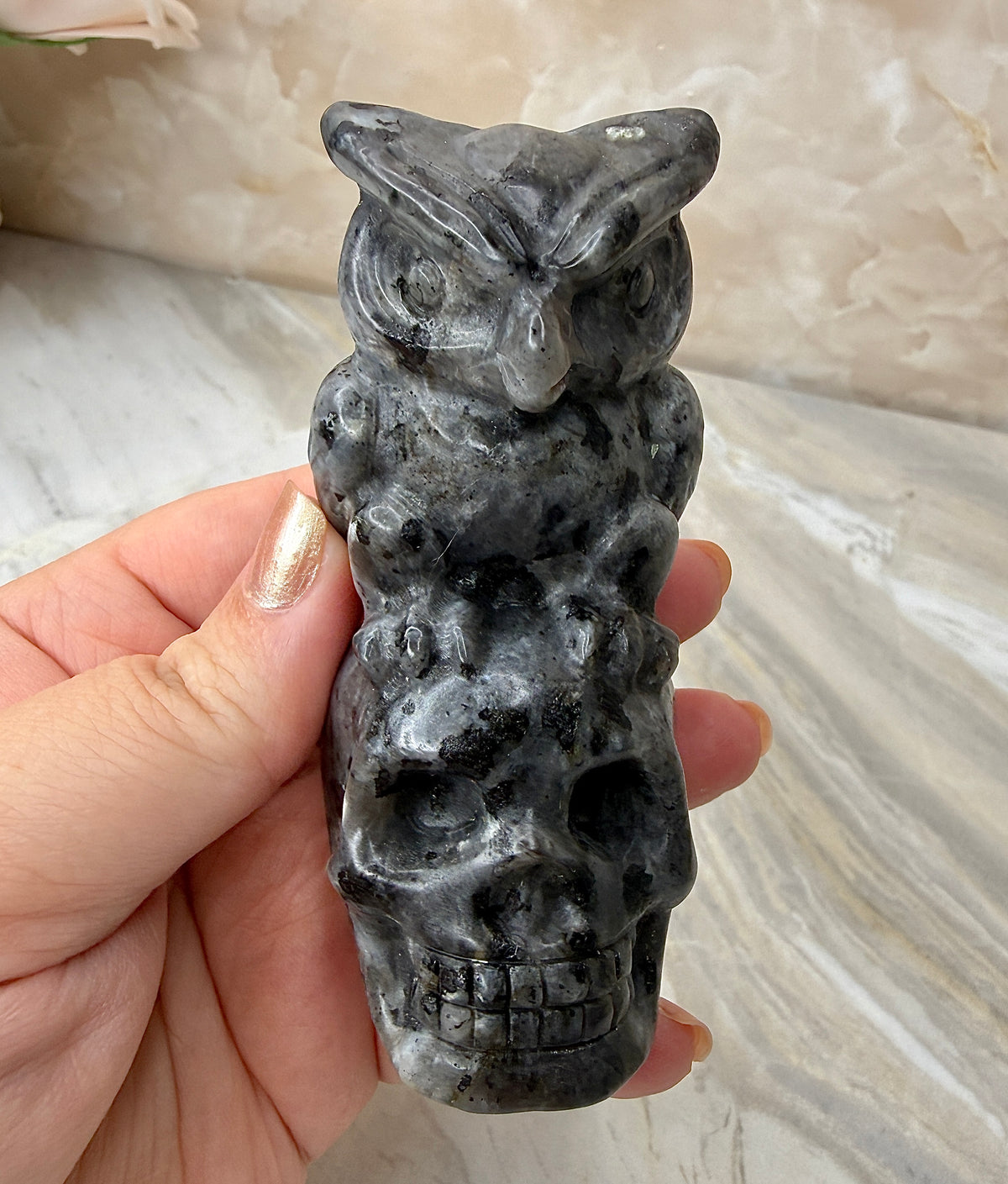 Larvikate Owl & Skull Carving