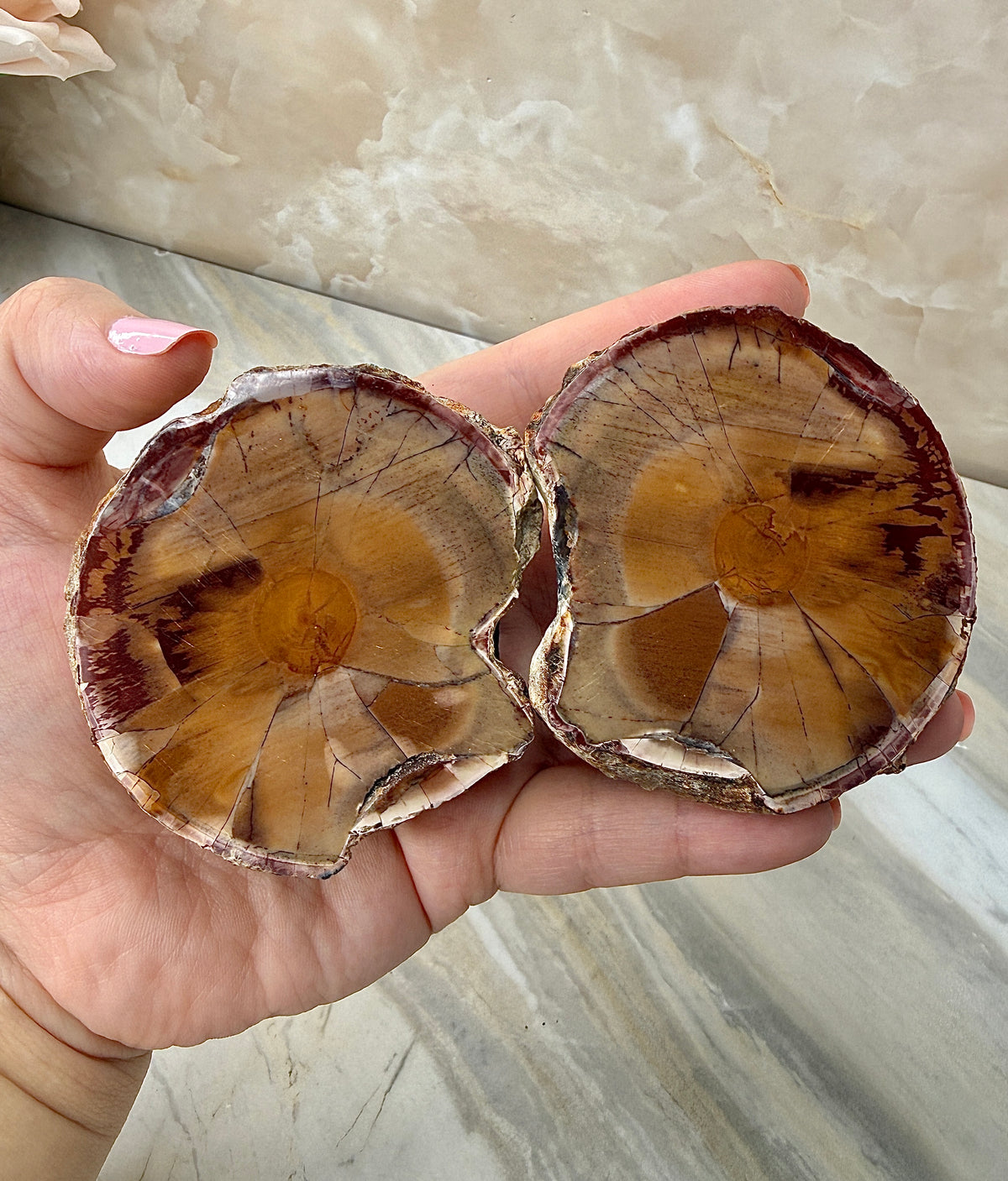 Thunder Agate Egg Pair from Mexico