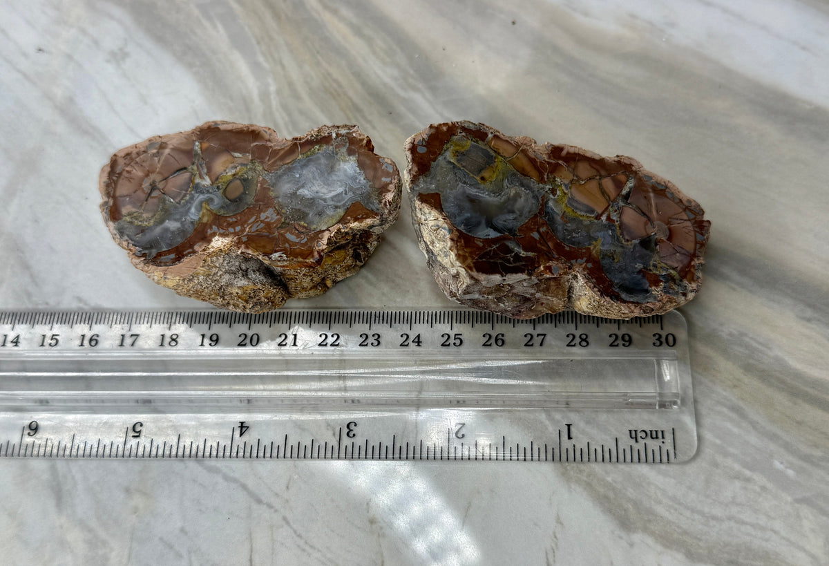 Thunder Agate Egg Pair from Mexico
