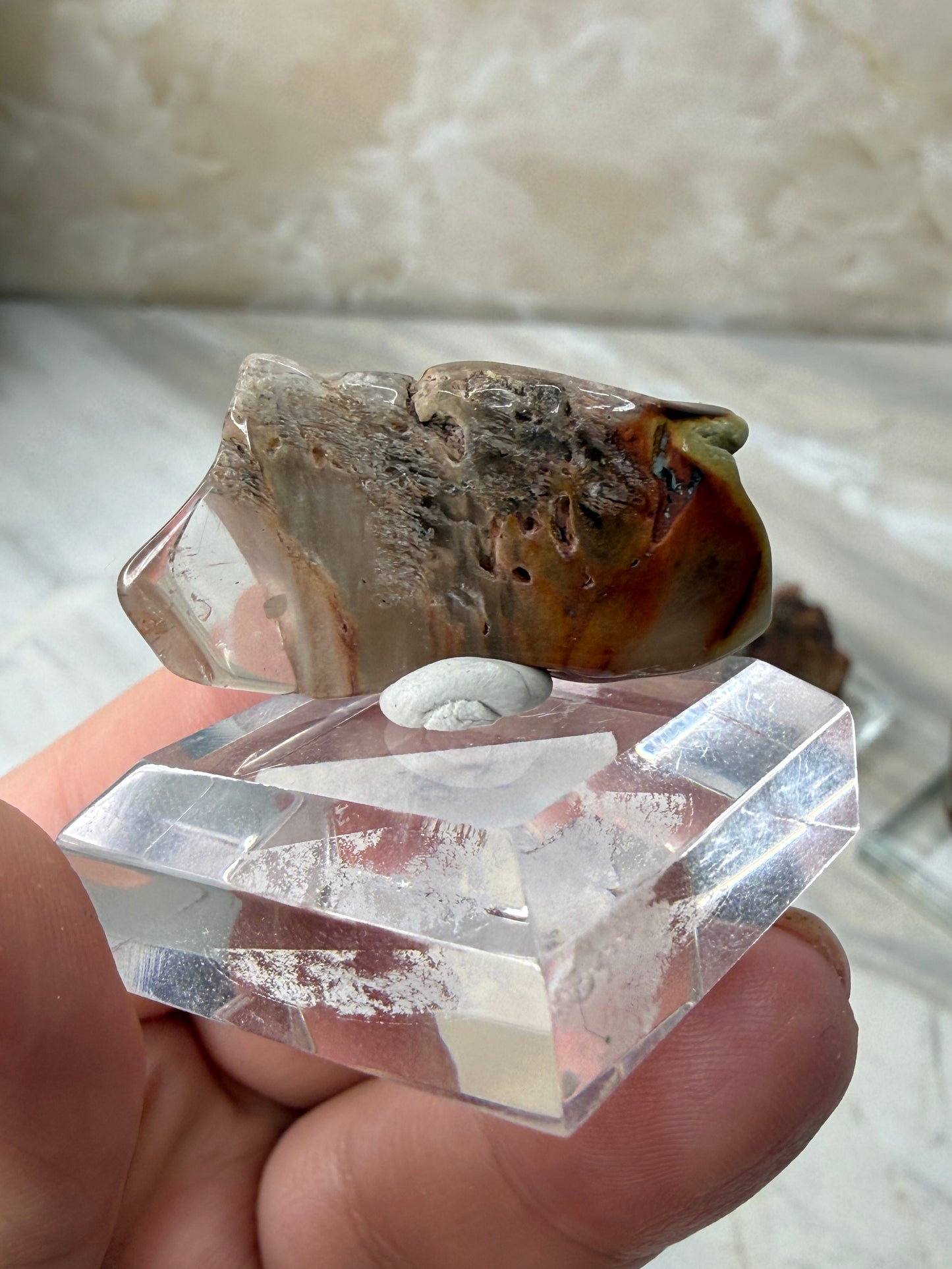 Mini Amphibole Slabs from Brazil