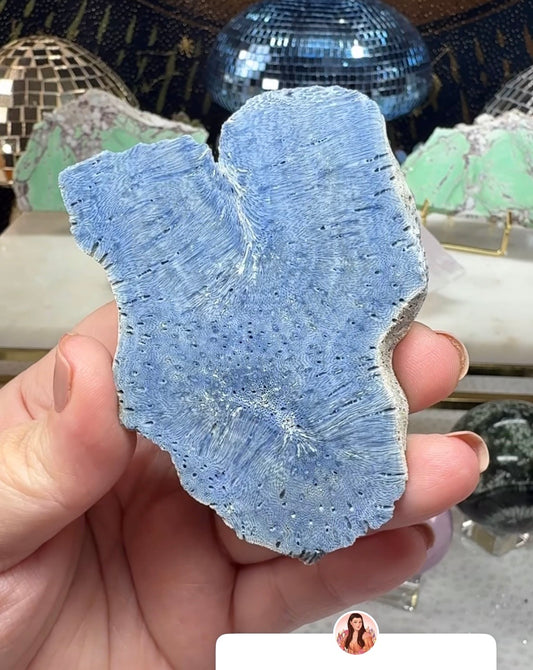 Reserved for Kay (open)