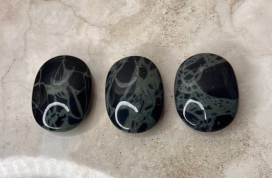 Spider Web Obsidian Palms