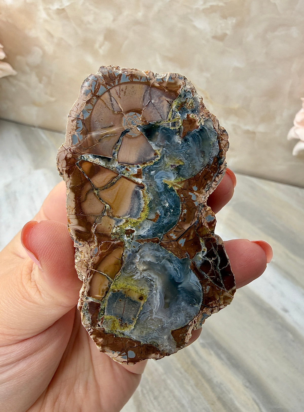 Thunder Agate Egg Pair from Mexico