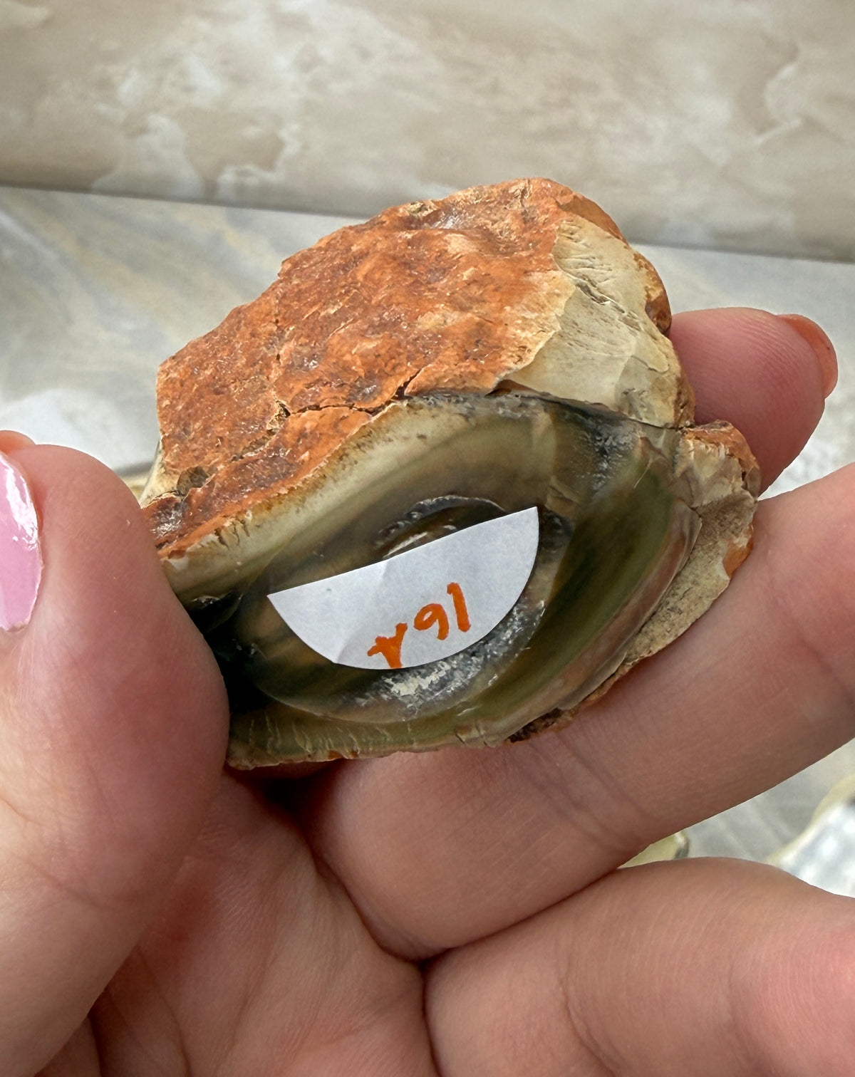 Imperial Jasper from Mexico