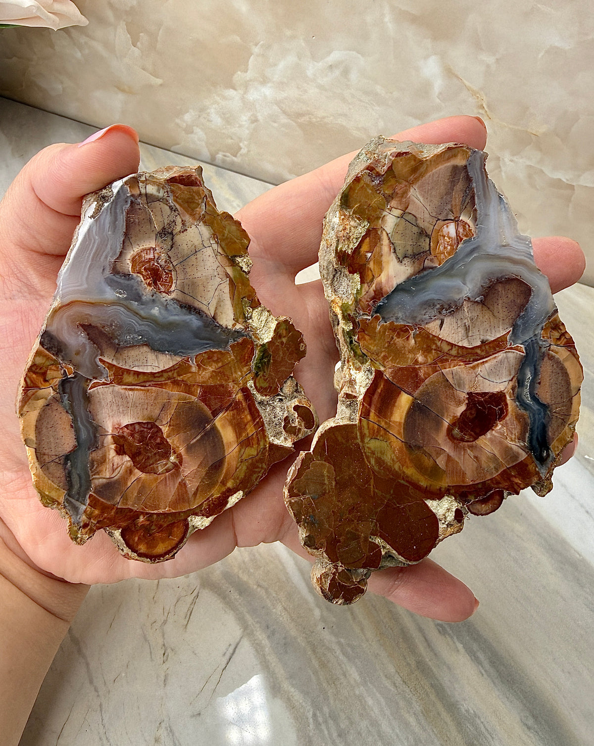Thunder Agate Egg Pair from Mexico