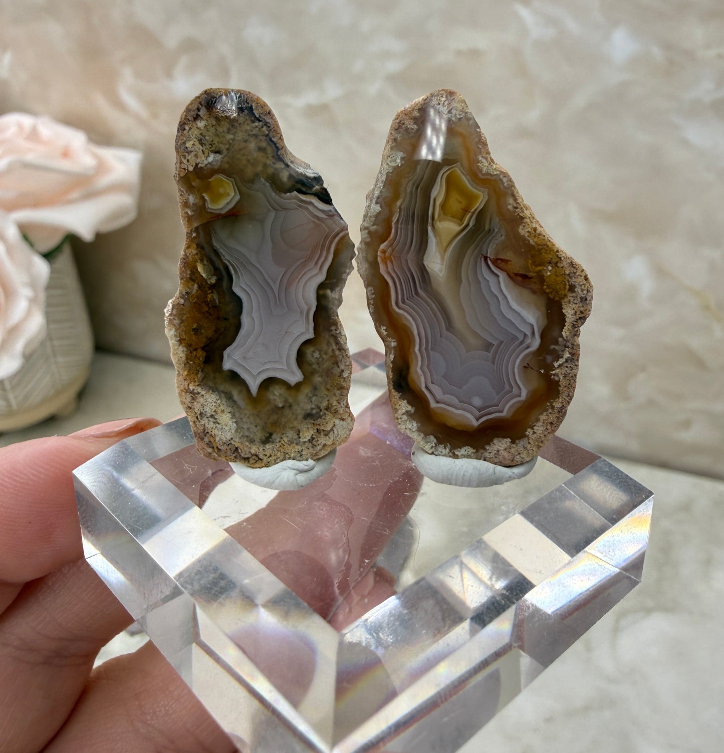 Laguna Agate Pair
