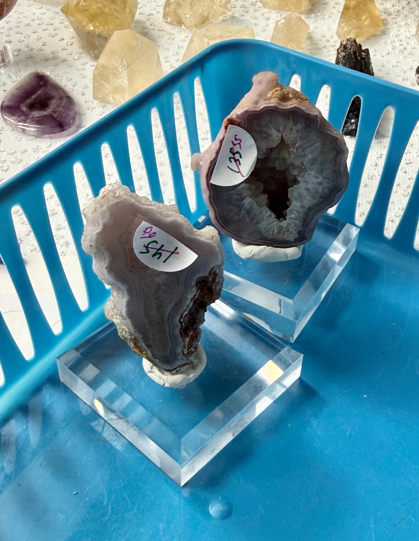 Reserved for Rising (open)