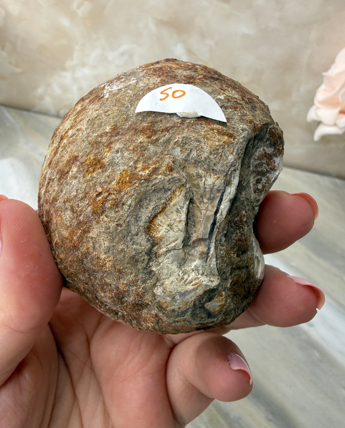 Thunder Agate Egg Pair from Mexico