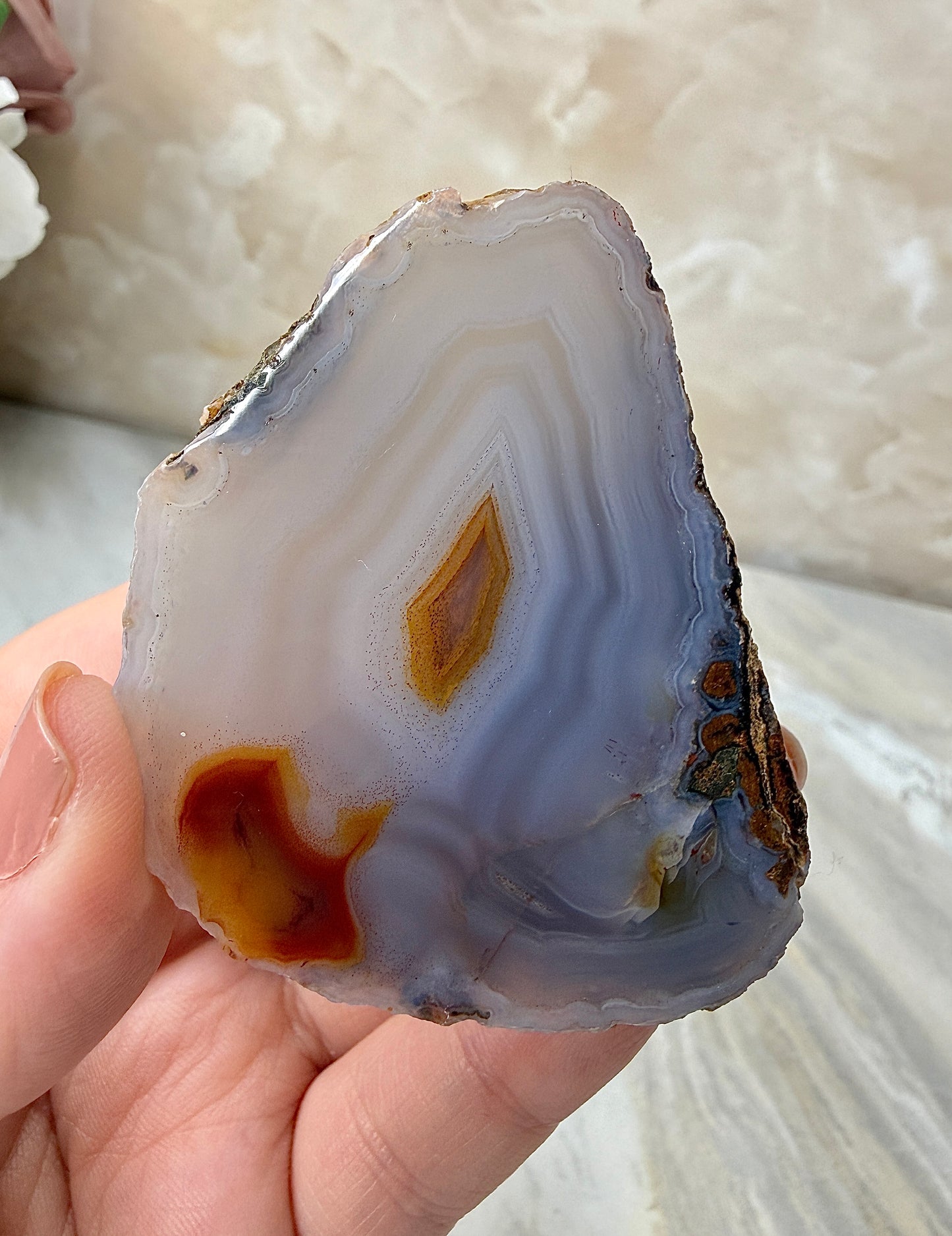 Condor Agate from Argentina