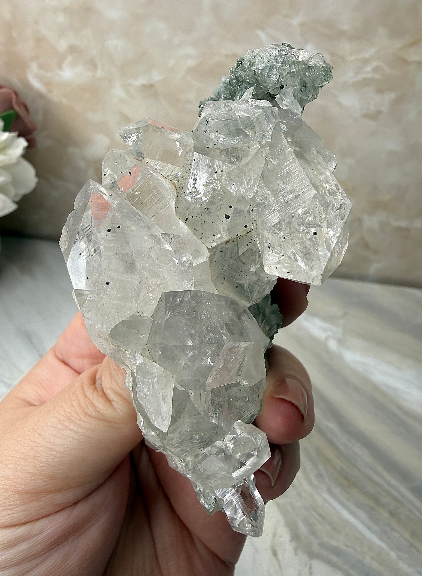 Himalayan Quartz with Chlorite Cluster