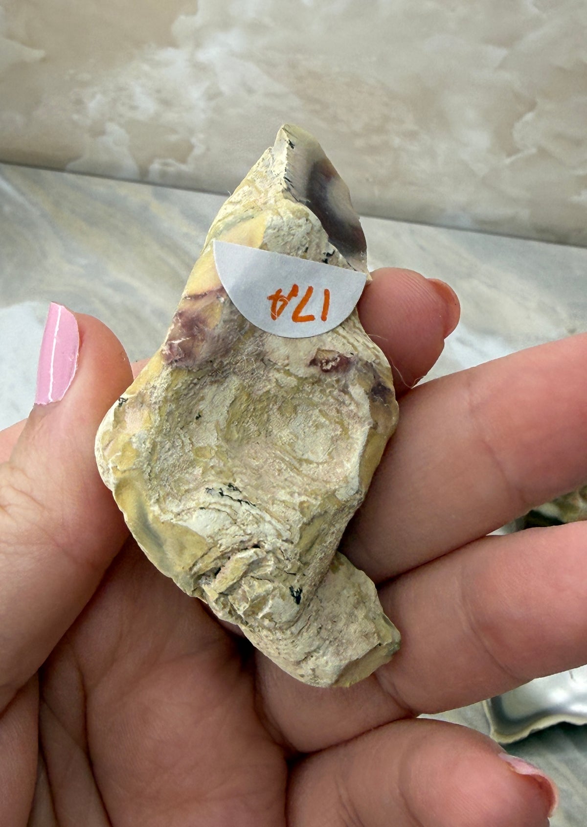 Imperial Jasper from Mexico