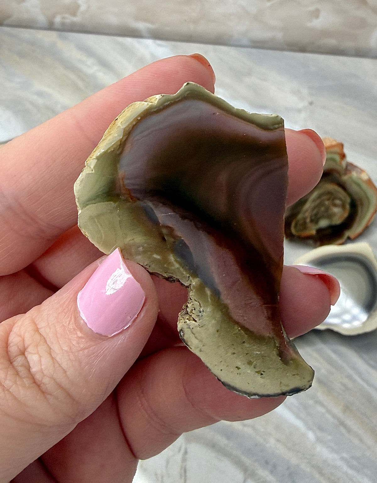 Imperial Jasper from Mexico