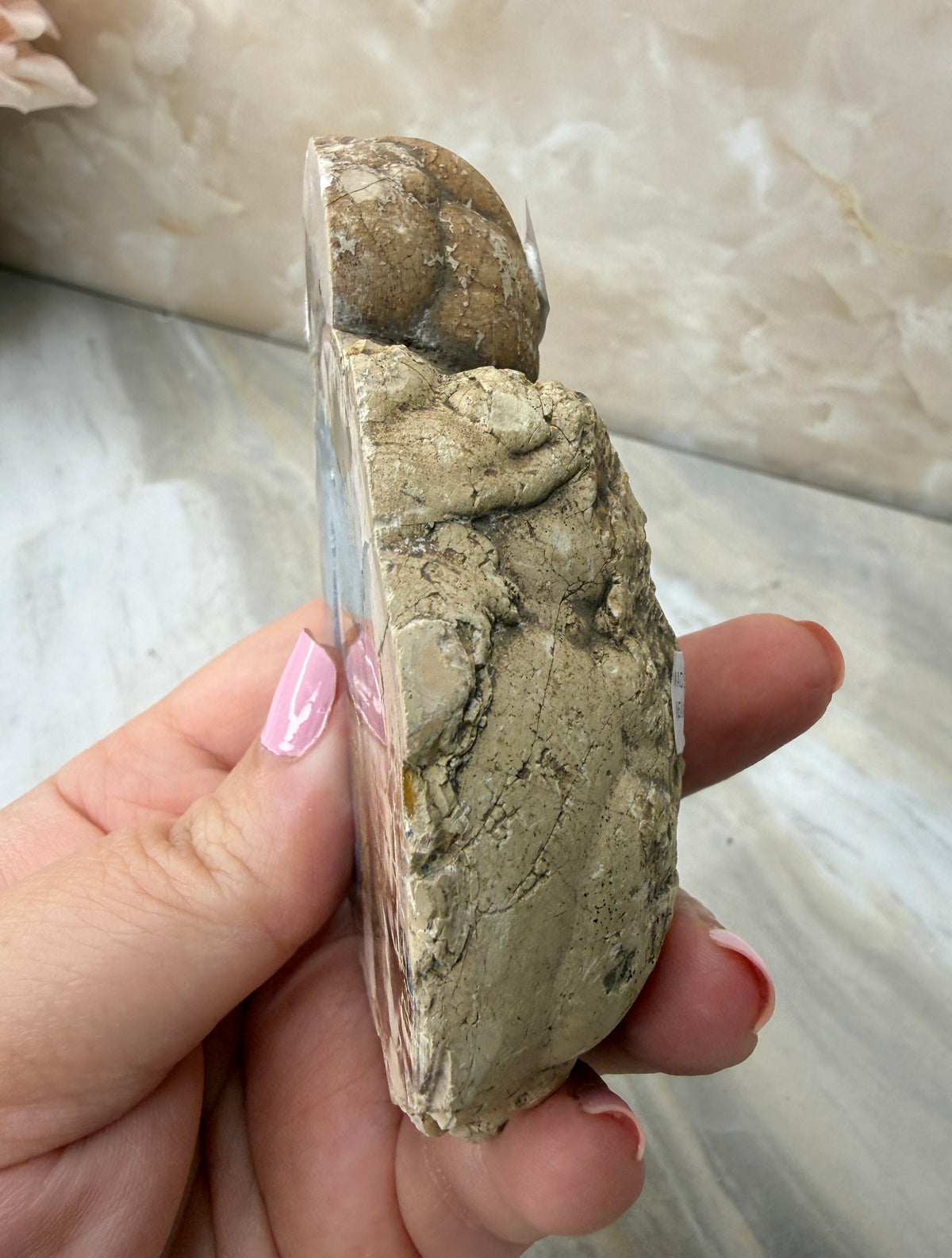 Thunder Agate Egg Pair from Mexico
