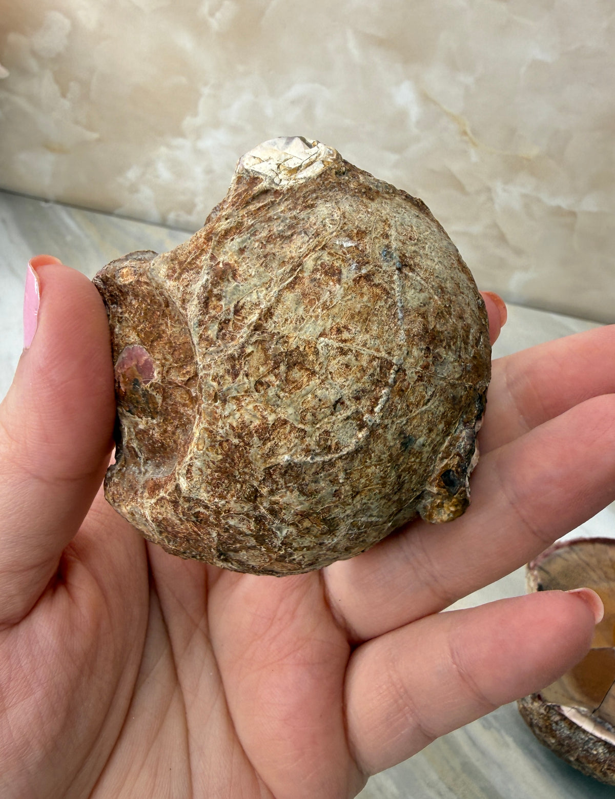 Thunder Agate Egg Pair from Mexico